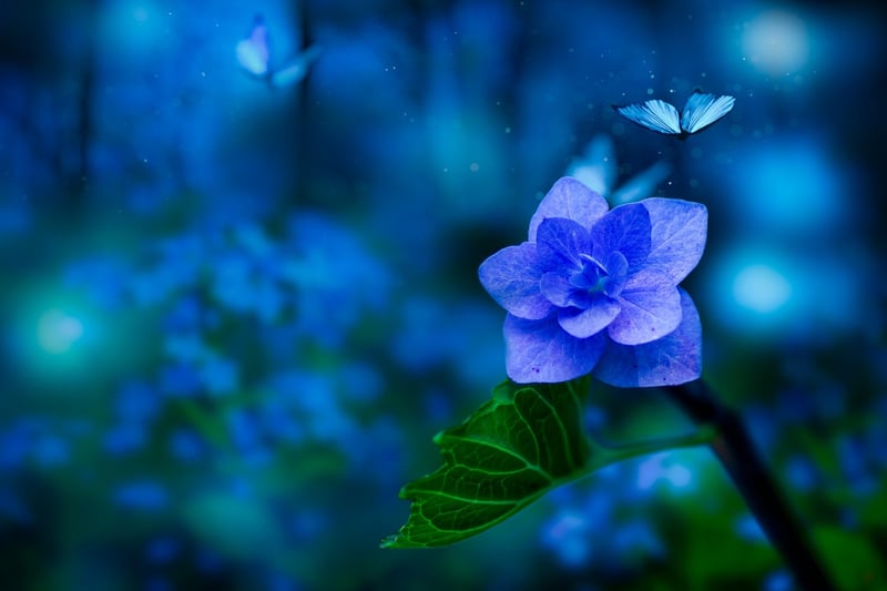 Fantasy Flower